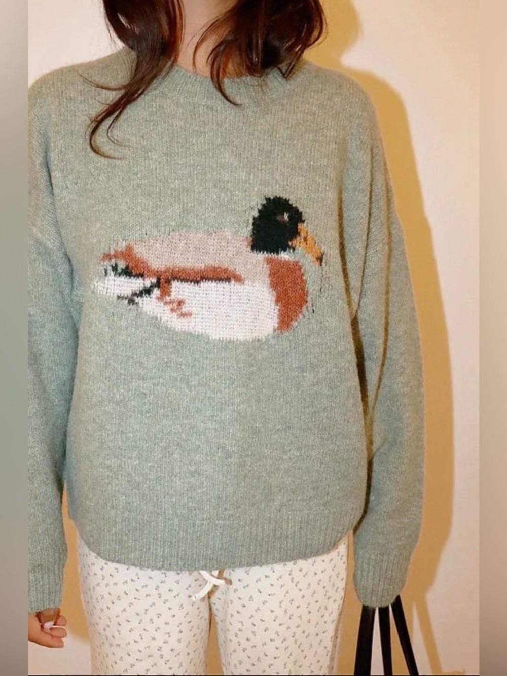 Duck Graphic Knit Sweater NWT | Bailey Rose | M - Picture 2 of 2